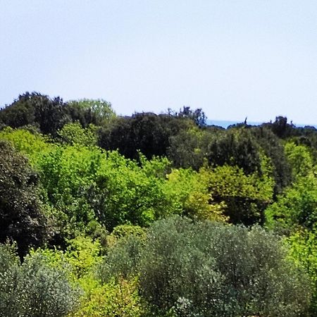 Villa Mareonda - Apartments Sussurro Ρόβινι Εξωτερικό φωτογραφία