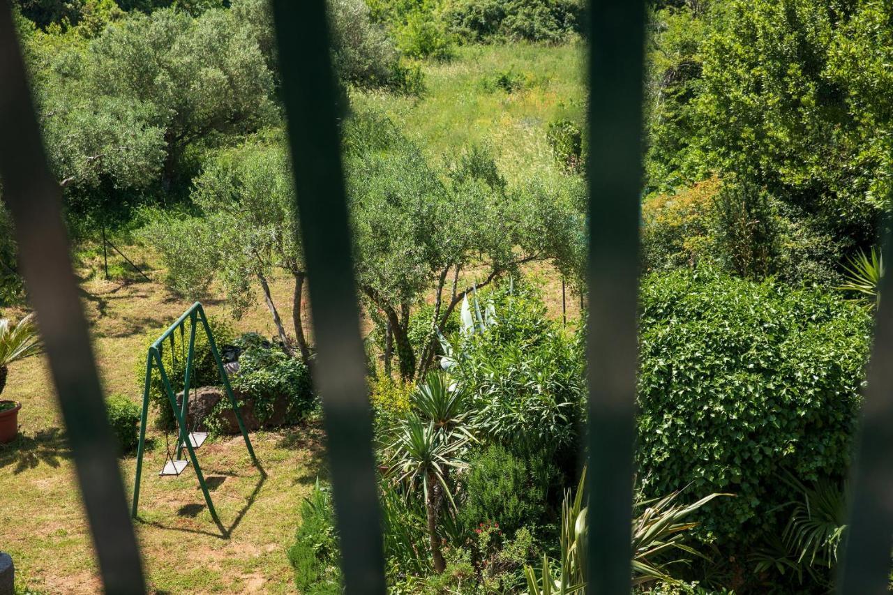 Villa Mareonda - Apartments Sussurro Ρόβινι Εξωτερικό φωτογραφία