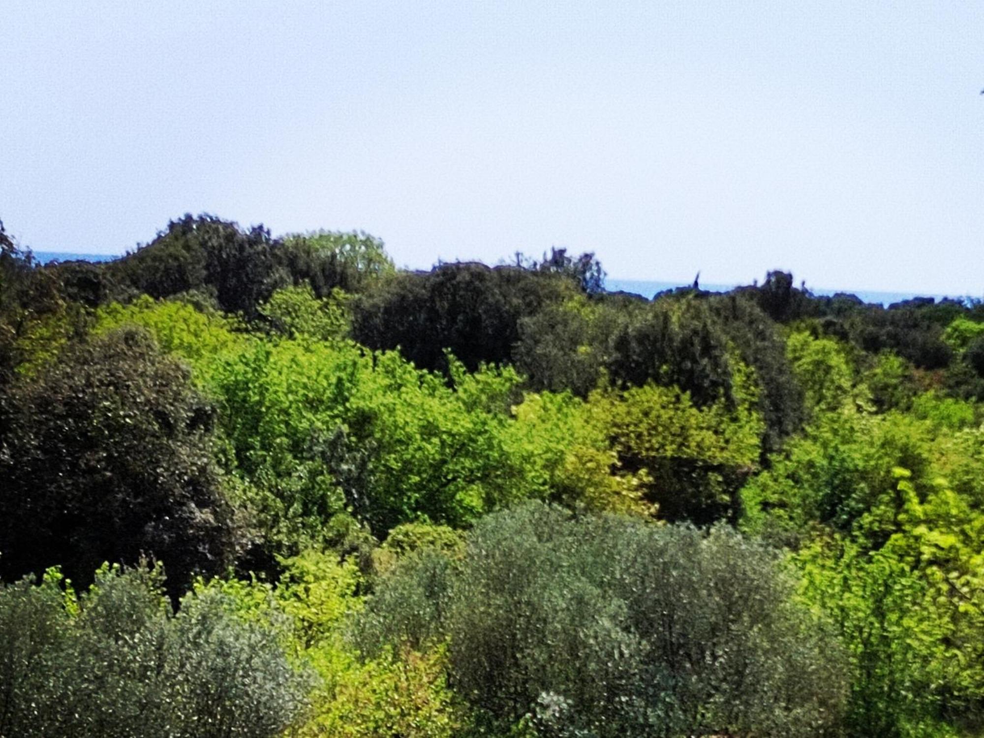 Villa Mareonda - Apartments Sussurro Ρόβινι Εξωτερικό φωτογραφία